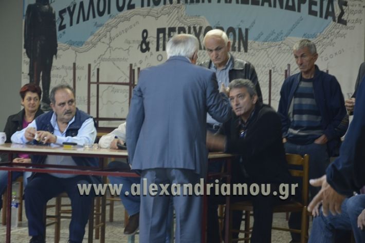 pontioi alexandreias ekloges2017011